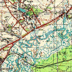 топографическая карта района